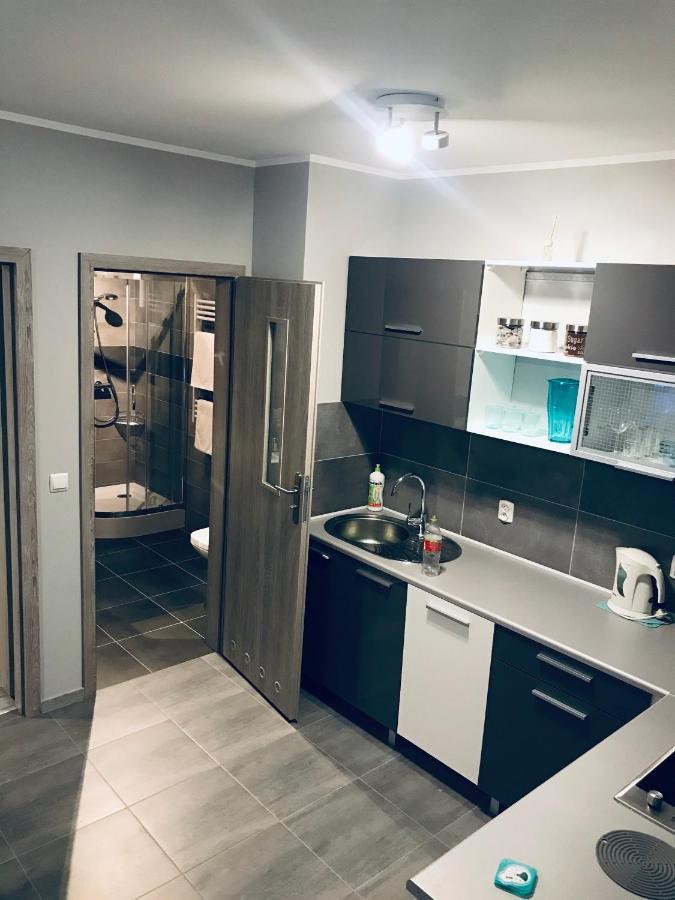Apartament C18 Jelenia Gora Exterior photo