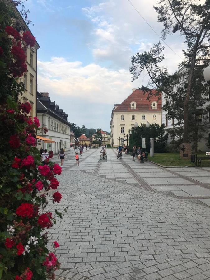 Apartament C18 Jelenia Gora Exterior photo